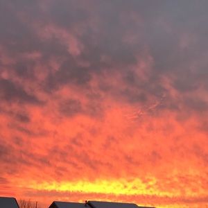 Meet your Posher, Angel